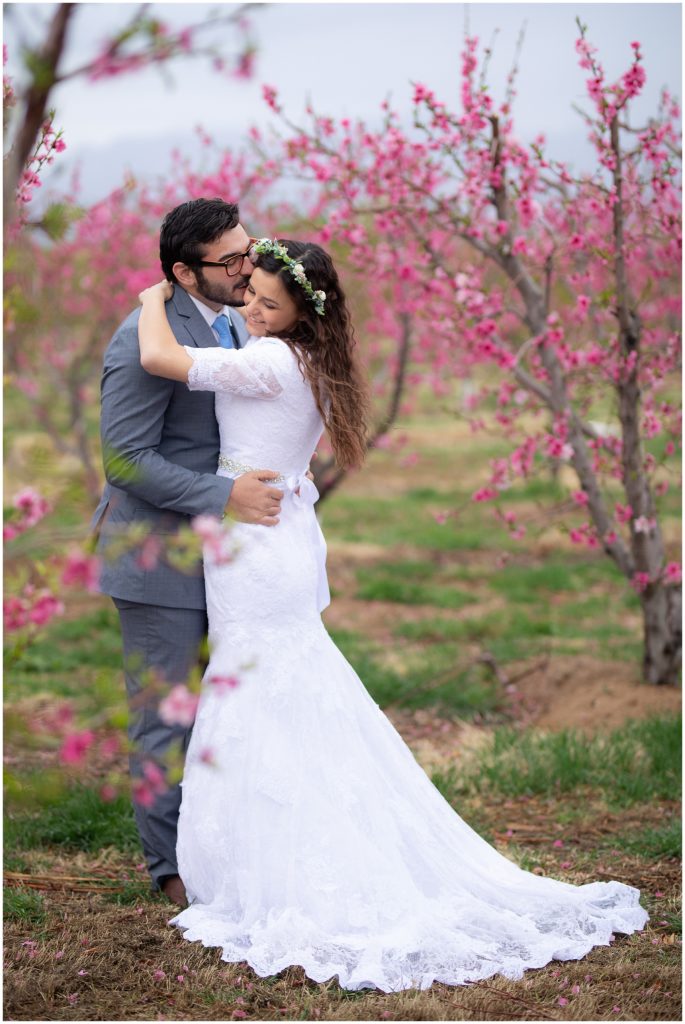 peach blossoms glicrease orchard bridals