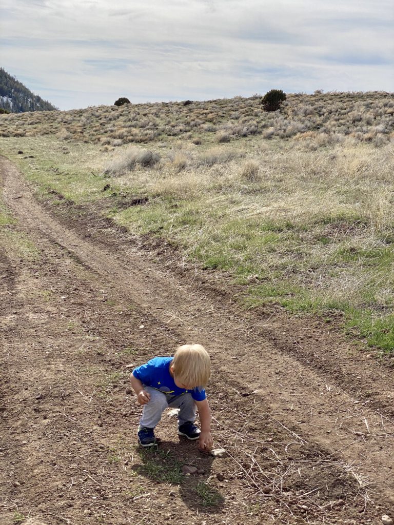 toddler picking up rocks 