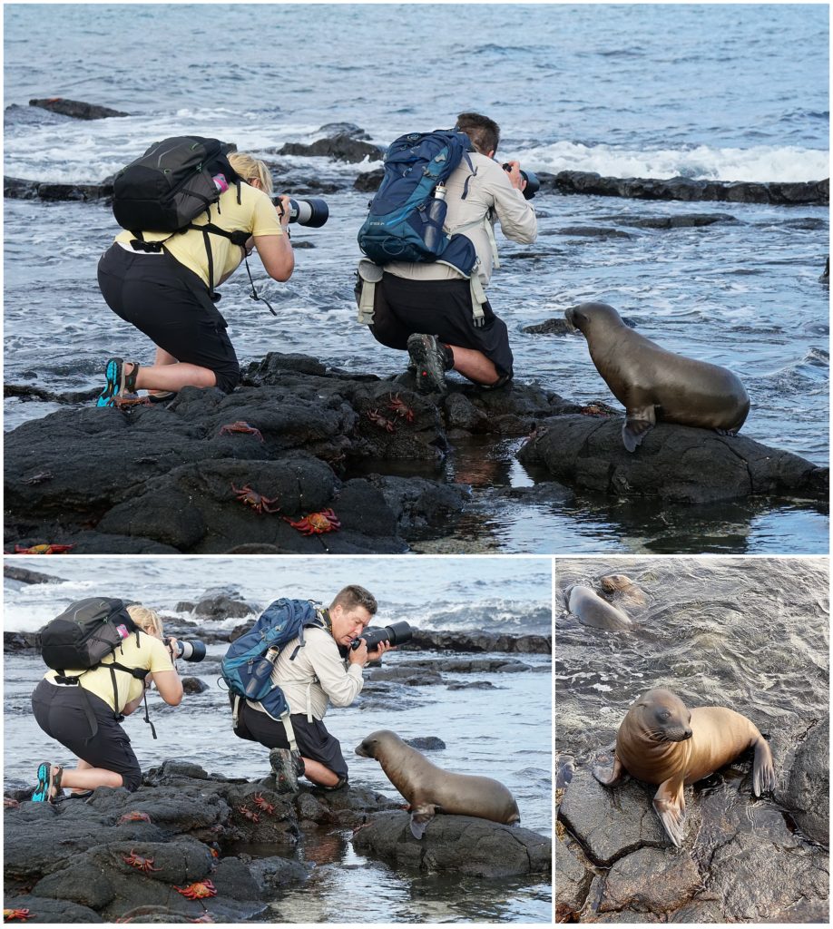 Photographers Holding still on Galapagos