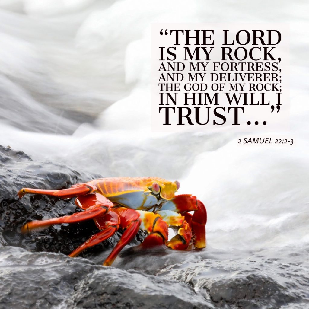 The Lord is my rock scripture with sally lightfoot crab
