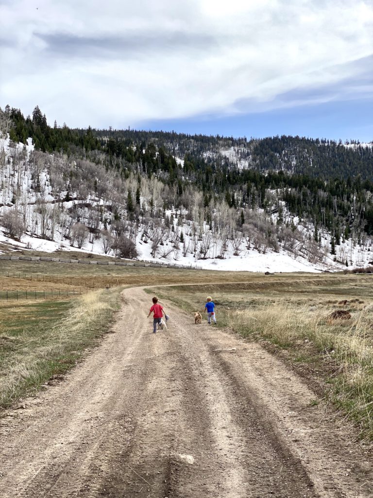 little boys walking dogs in mountains