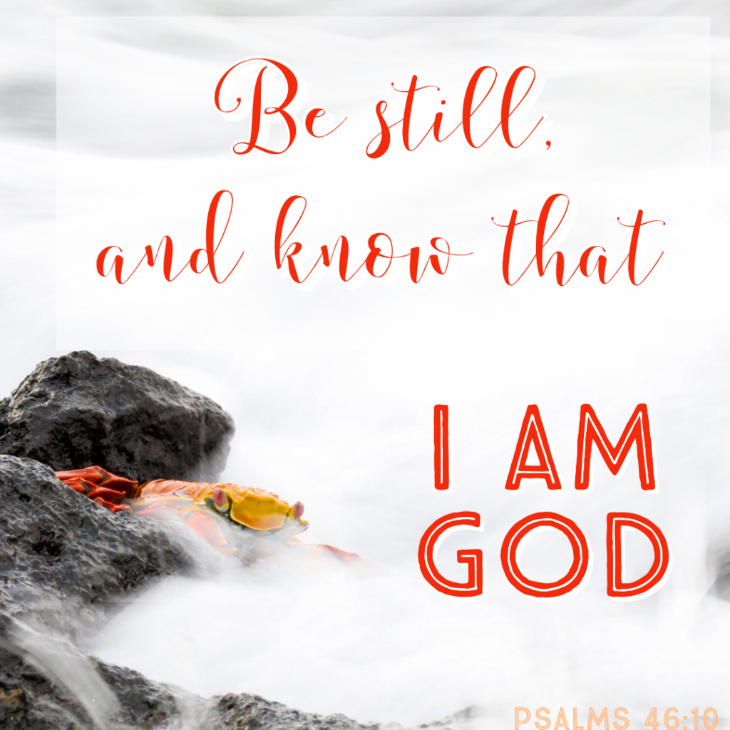 Be Still and Know that I AM GOD Sally photo